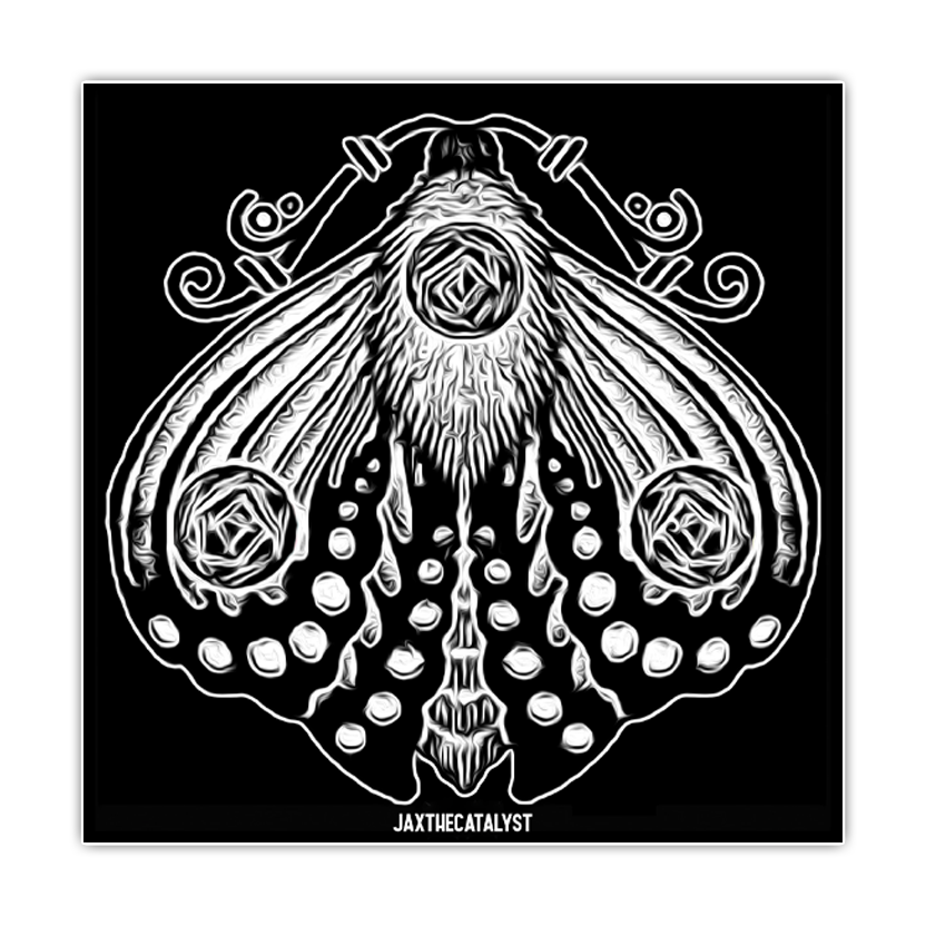 Moth Print