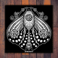 Moth Print