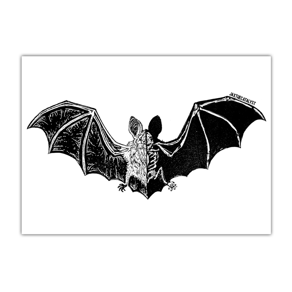 Bat Print