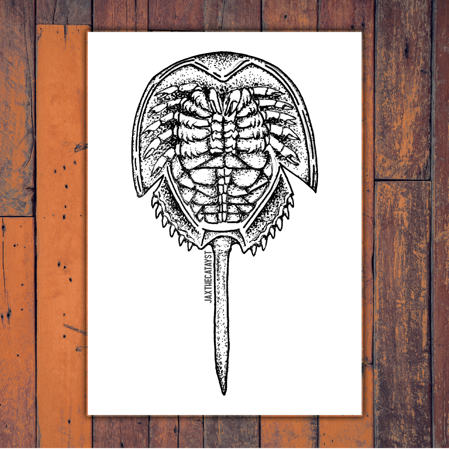 Horseshoe Crab Print